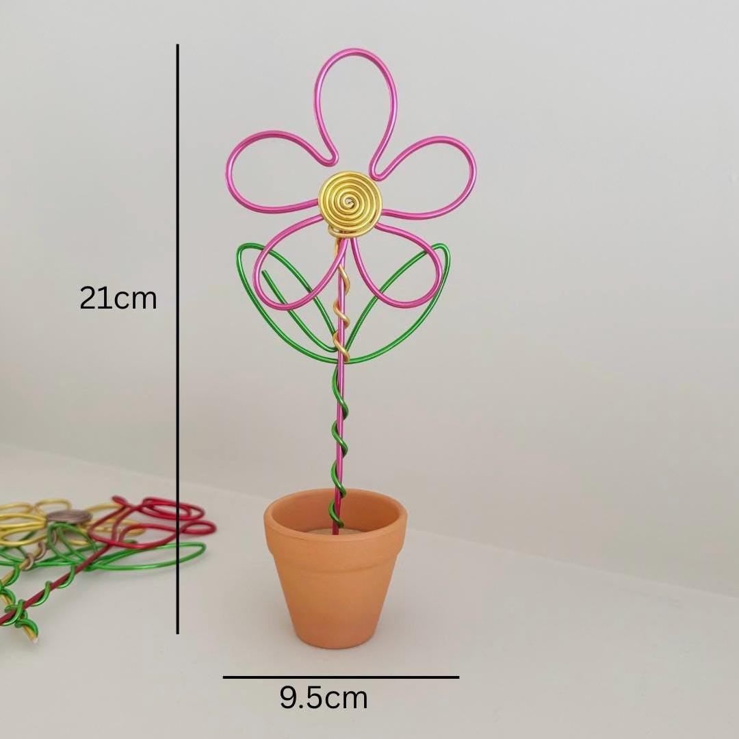 Pink Daisy in Terracotta Pot - Wire Forever Flowers - Teacher Gift - Flowers that last forever - Teacher thank you gift