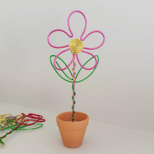 Pink Daisy in Terracotta Pot - Wire Forever Flowers - Teacher Gift - Flowers that last forever - Teacher thank you gift